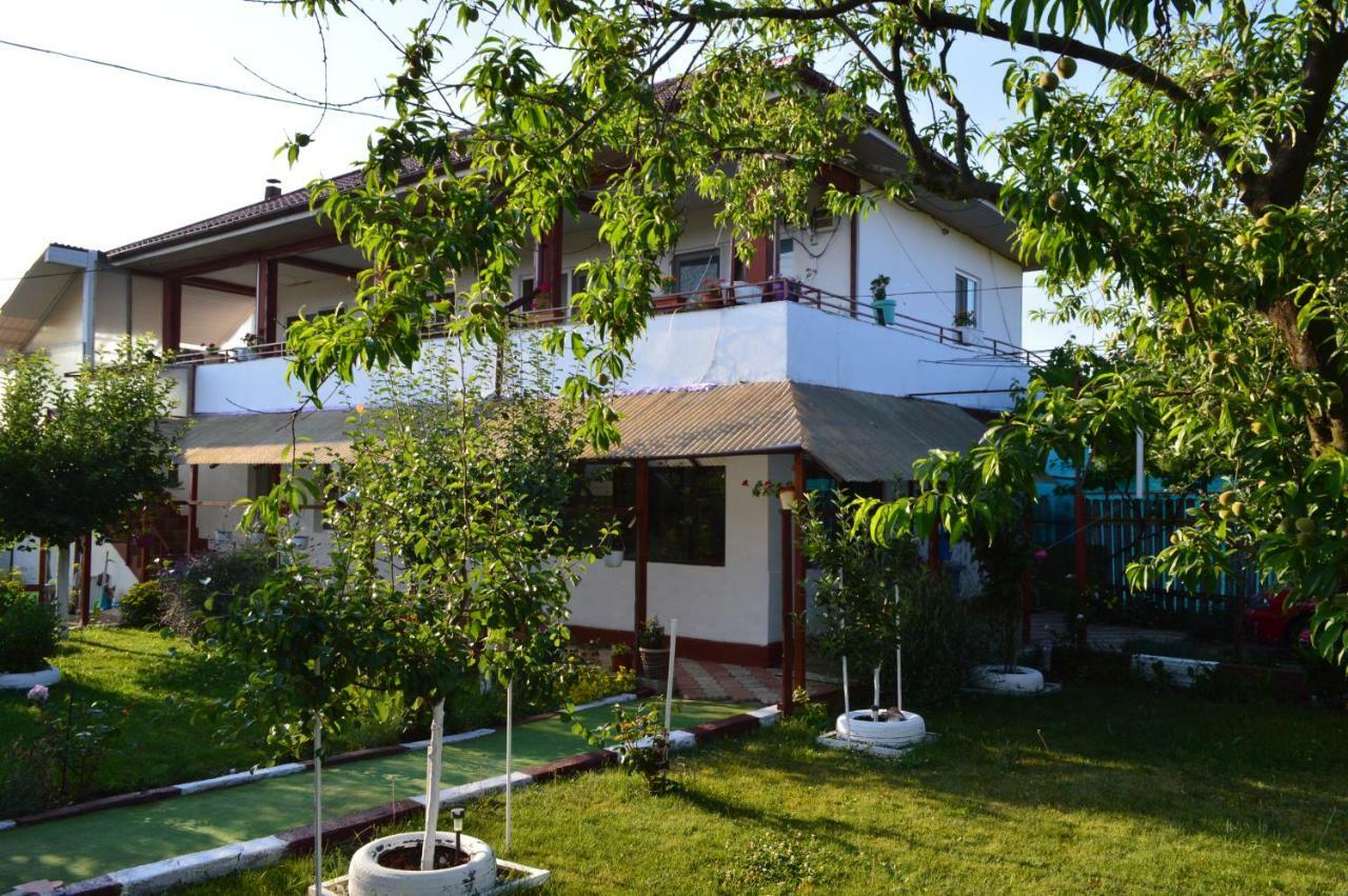 ホテル Casa Gia コスティネシュティ エクステリア 写真