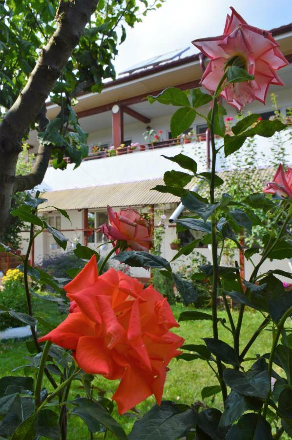 ホテル Casa Gia コスティネシュティ エクステリア 写真