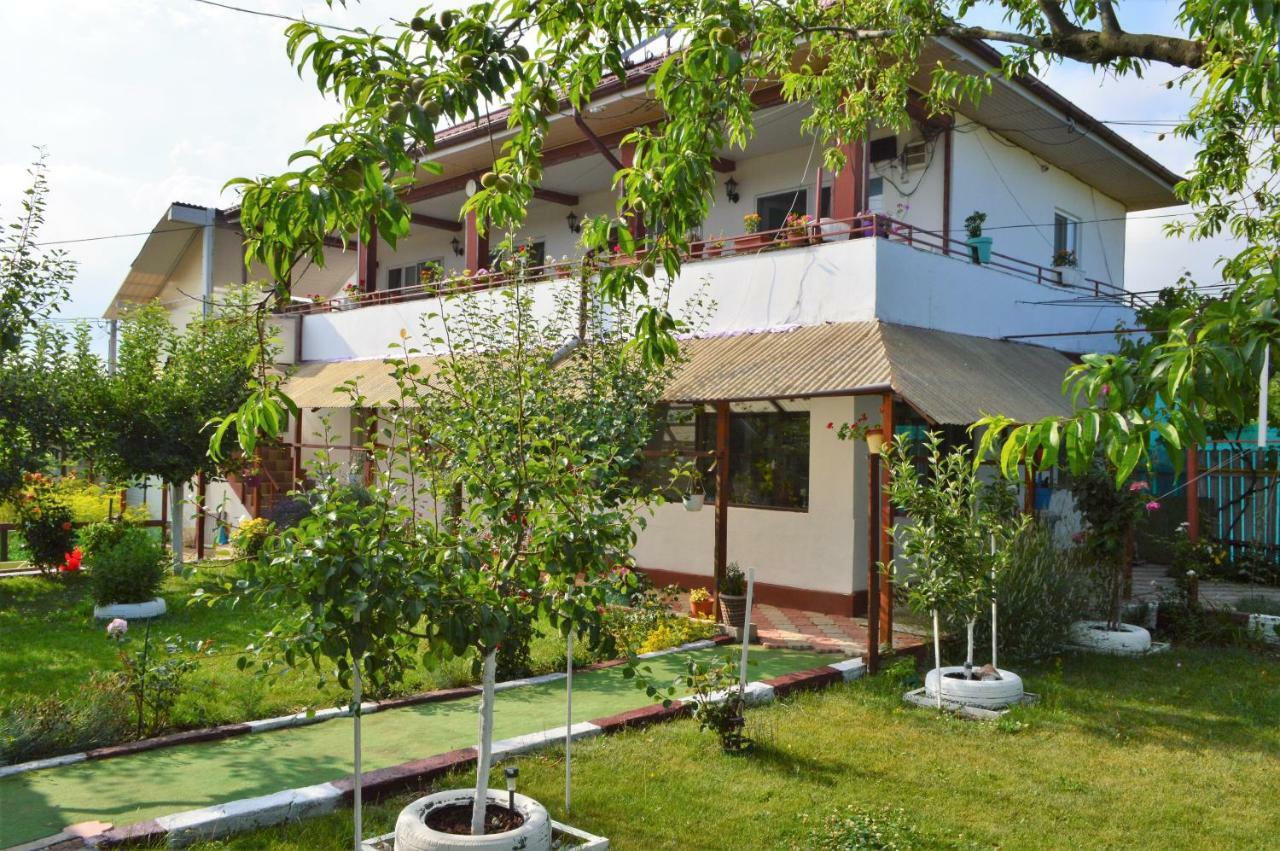 ホテル Casa Gia コスティネシュティ エクステリア 写真